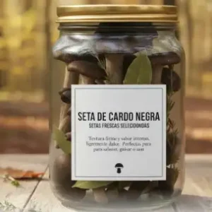 Seta de Cardo Negra (Frescas)