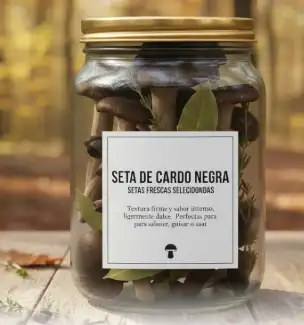 Seta-de-Cardo-Negra-Frescas Seta de Cardo Negra (Frescas)