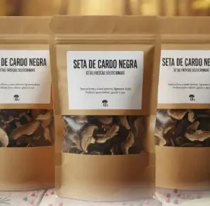 Seta de Cardo Negra (deshidratado)