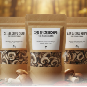 Seta de Chopo (deshidratado)